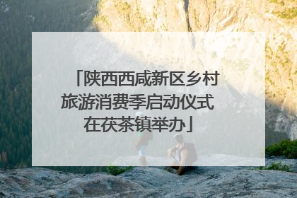 陕西西咸新区乡村旅游消费季启动仪式在茯茶镇举办