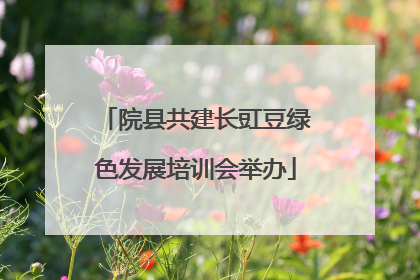 院县共建长豇豆绿色发展培训会举办