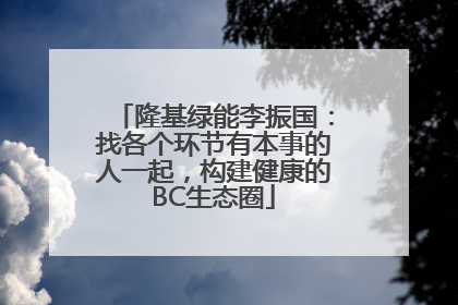 隆基绿能李振国：找各个环节有本事的人一起，构建健康的BC生态圈