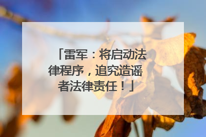 雷军：将启动法律程序，追究造谣者法律责任！