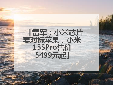 雷军：小米芯片要对标苹果，小米15SPro售价5499元起