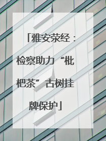 雅安荥经：检察助力“枇杷茶”古树挂牌保护