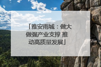雅安雨城：做大做强产业支撑 推动高质量发展
