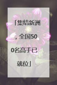 集结新洲，全国500名高手已就位