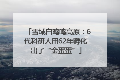 雪域白鸡鸣高原：6代科研人用62年孵化出了“金蛋蛋”
