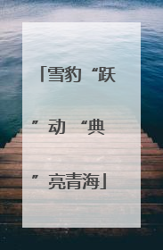 雪豹“跃”动 “典”亮青海