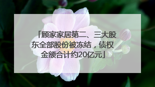 顾家家居第二、三大股东全部股份被冻结，债权金额合计约20亿元