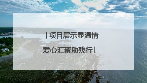 项目展示显温情 爱心汇聚助残行