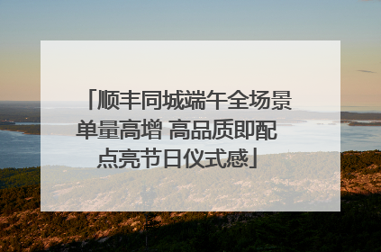 顺丰同城端午全场景单量高增 高品质即配点亮节日仪式感