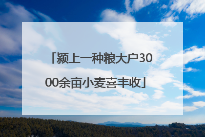 颍上一种粮大户3000余亩小麦喜丰收