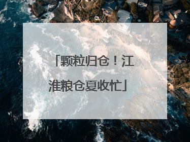 颗粒归仓！江淮粮仓夏收忙