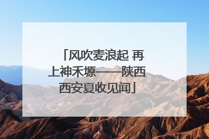 风吹麦浪起 再上神禾塬——陕西西安夏收见闻
