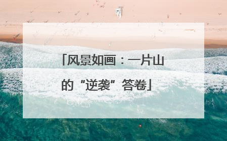 风景如画：一片山的“逆袭”答卷
