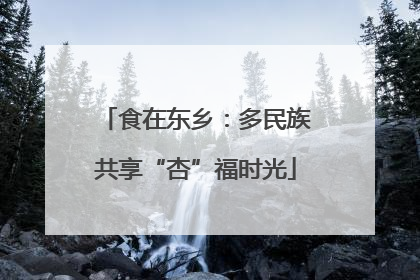 食在东乡：多民族共享“杏”福时光