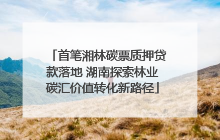 首笔湘林碳票质押贷款落地 湖南探索林业碳汇价值转化新路径