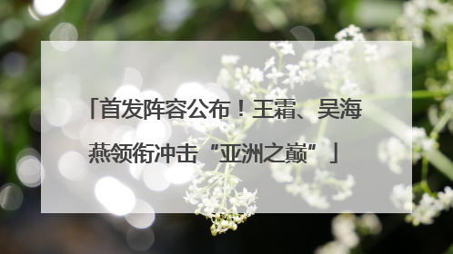 首发阵容公布！王霜、吴海燕领衔冲击“亚洲之巅”