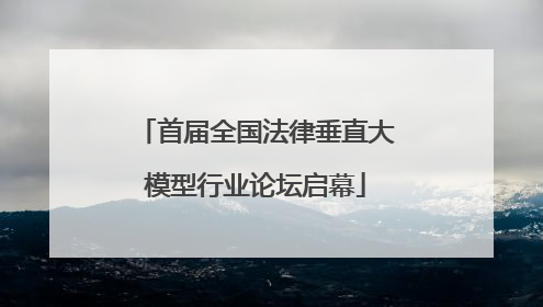 首届全国法律垂直大模型行业论坛启幕