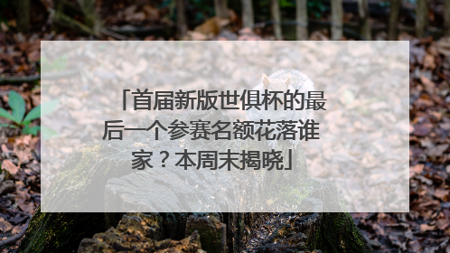 首届新版世俱杯的最后一个参赛名额花落谁家？本周末揭晓