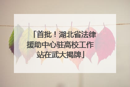 首批！湖北省法律援助中心驻高校工作站在武大揭牌