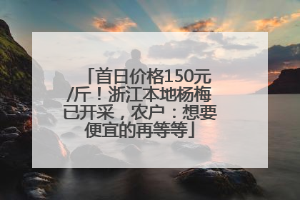 首日价格150元/斤！浙江本地杨梅已开采，农户：想要便宜的再等等