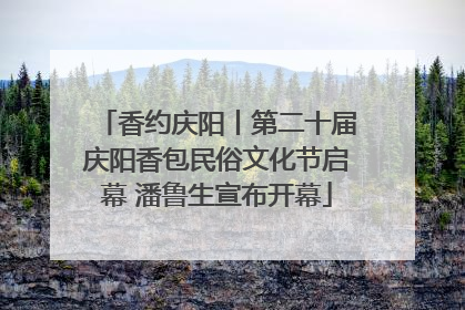 香约庆阳丨第二十届庆阳香包民俗文化节启幕 潘鲁生宣布开幕