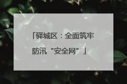 驿城区：全面筑牢防汛“安全网”