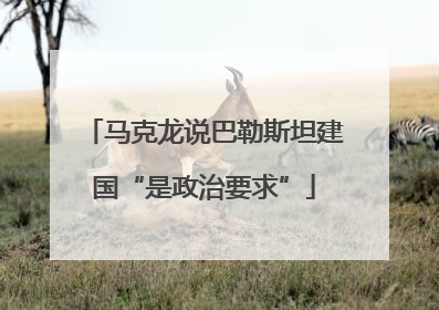 马克龙说巴勒斯坦建国“是政治要求”
