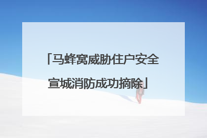马蜂窝威胁住户安全 宣城消防成功摘除