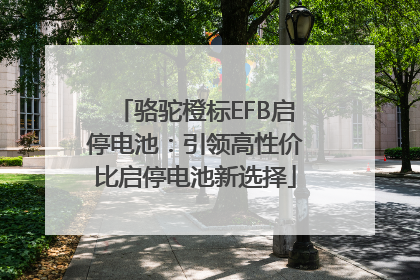 骆驼橙标EFB启停电池：引领高性价比启停电池新选择