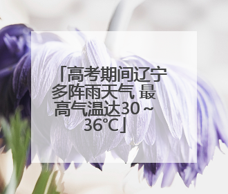 高考期间辽宁多阵雨天气 最高气温达30～36℃