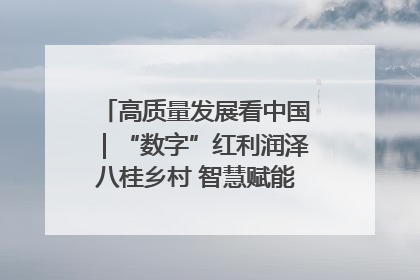 高质量发展看中国｜“数字”红利润泽八桂乡村 智慧赋能绘就振兴画卷