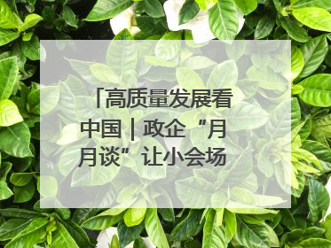 高质量发展看中国｜政企“月月谈”让小会场撬动大营商