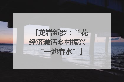 龙岩新罗：兰花经济激活乡村振兴“一池春水”