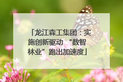 龙江森工集团：实施创新驱动 “数智林业”跑出加速度