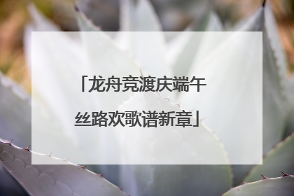 龙舟竞渡庆端午 丝路欢歌谱新章