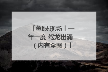 鱼眼·现场丨一年一度 驾龙出涌（内有全图）