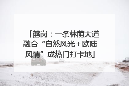 鹤岗：一条林荫大道融合“自然风光＋欧陆风情”成热门打卡地
