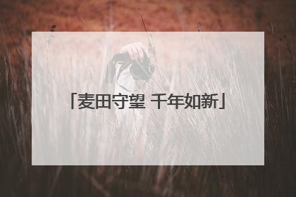 麦田守望 千年如新