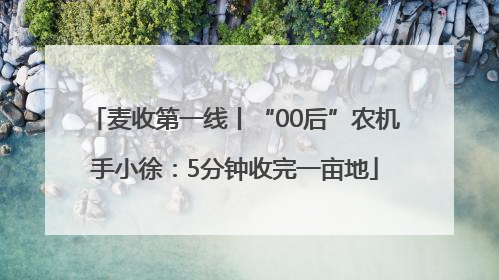 麦收第一线丨“00后”农机手小徐：5分钟收完一亩地