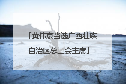 黄伟京当选广西壮族自治区总工会主席