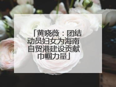 黄晓薇：团结动员妇女为海南自贸港建设贡献巾帼力量