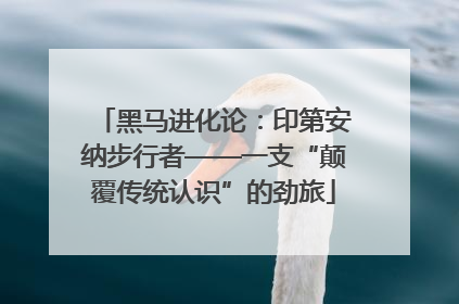 黑马进化论：印第安纳步行者——一支“颠覆传统认识”的劲旅
