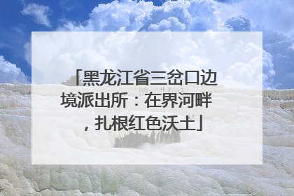 黑龙江省三岔口边境派出所：在界河畔，扎根红色沃土