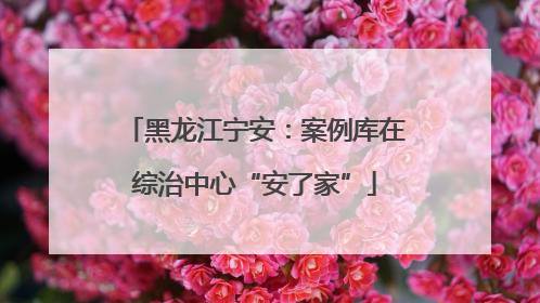 黑龙江宁安：案例库在综治中心“安了家”