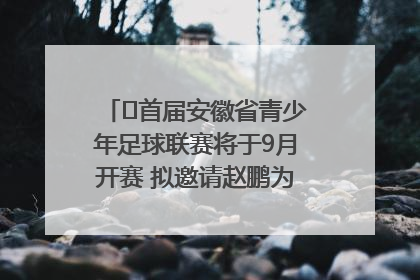 ﻿首届安徽省青少年足球联赛将于9月开赛 拟邀请赵鹏为先导赛开球