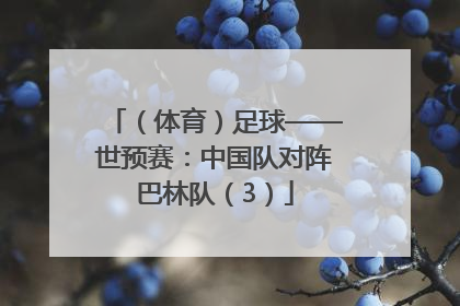 （体育）足球——世预赛：中国队对阵巴林队（3）