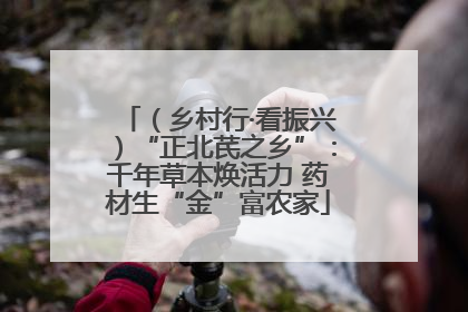 （乡村行·看振兴）“正北芪之乡”：千年草本焕活力 药材生“金”富农家
