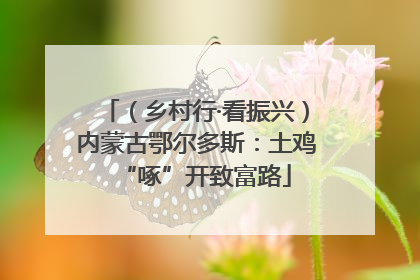 （乡村行·看振兴）内蒙古鄂尔多斯：土鸡“啄”开致富路