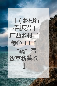 （乡村行·看振兴）广西乡村“绿色工厂” “蔬”写致富新答卷