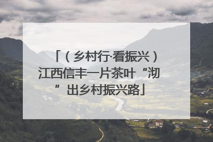 （乡村行·看振兴）江西信丰一片茶叶“沏”出乡村振兴路